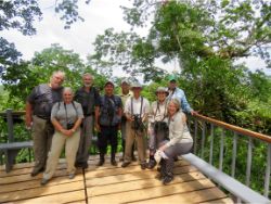 On the Kapok Tower at Sacha Lodge